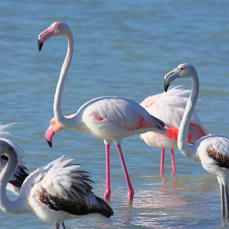 Casa Sunset Διαμέρισμα